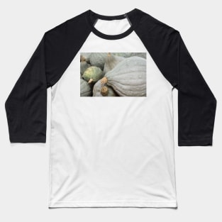 Grey pumpkins Baseball T-Shirt